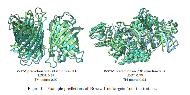 Boltz-1：能够达到AlphaFold3精度的生物分子开源建模工具