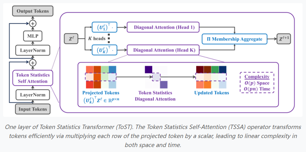 Token Statistics Transformer：通过引入TSSA（Token Statistics Self-Attention）注意力模块，显著降低Transformer的计算复杂度和内存需求